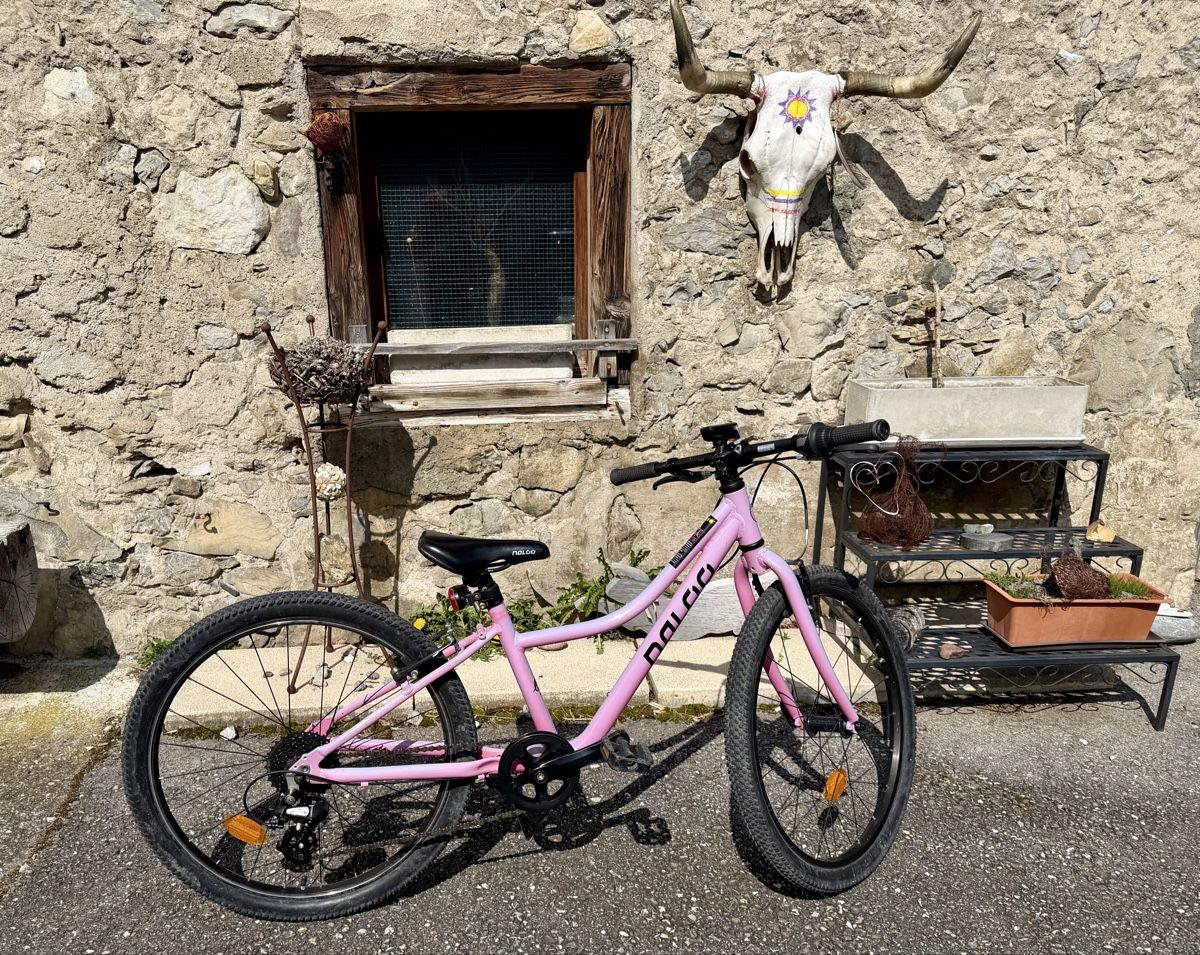 Naloo Velos: naloo 24 zoll – Gebraucht aus stallikon von Guetze1990 2