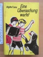 Eine Ueberraschung wartet; Brigitta Leins - 1965