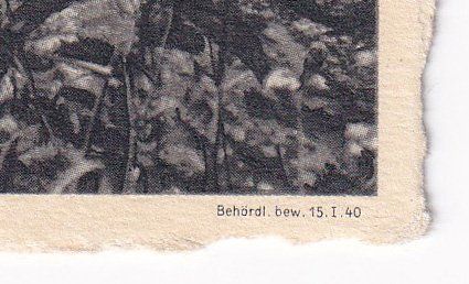 Cartoline postali: Stausee Wäggital mit Fluhberg – Usato da Cormoret venduto da Pascalll2001 4