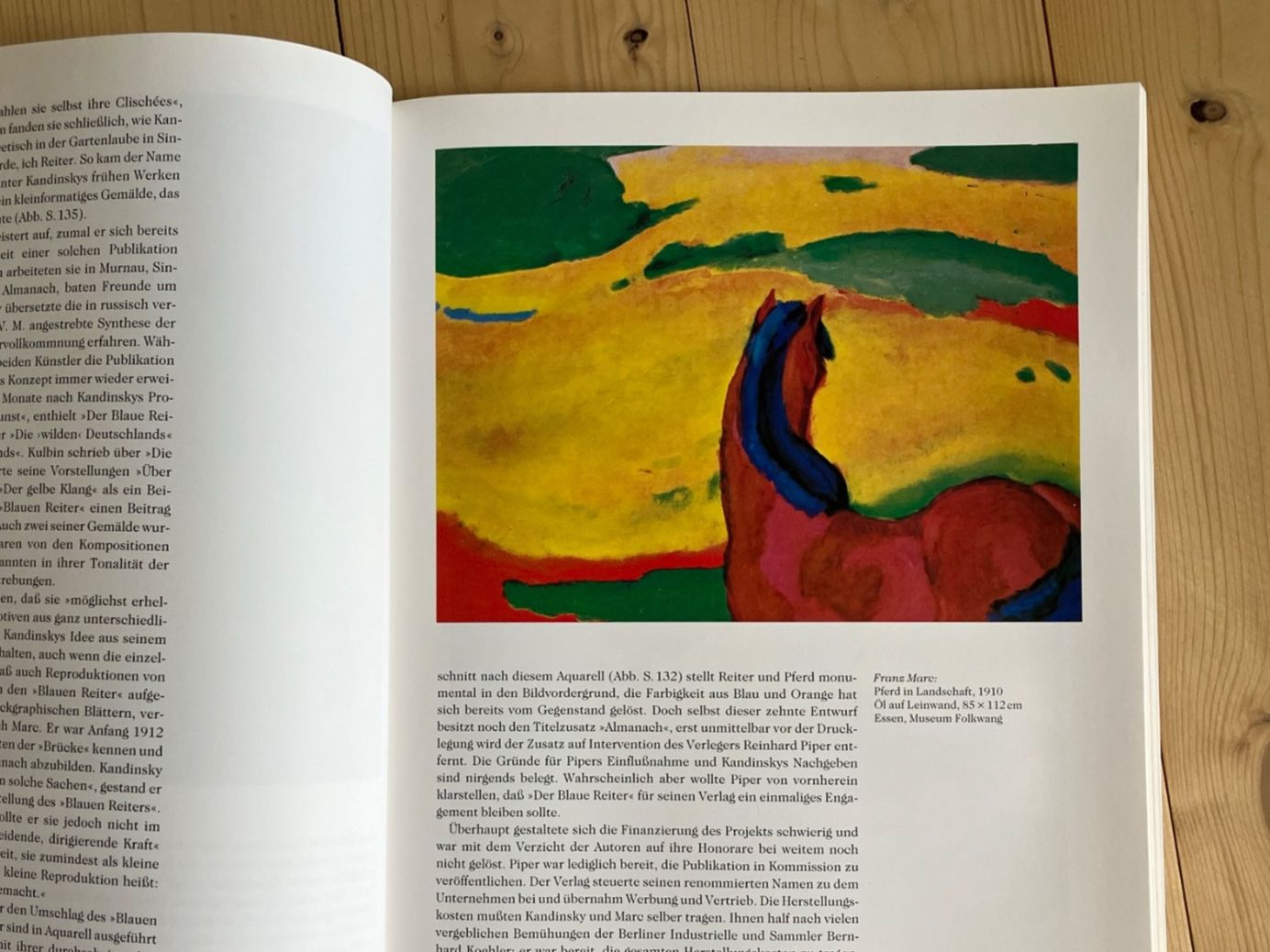 Libri: Buchband Expressionismus – Usato da Obermumpf venduto da globiroger 2