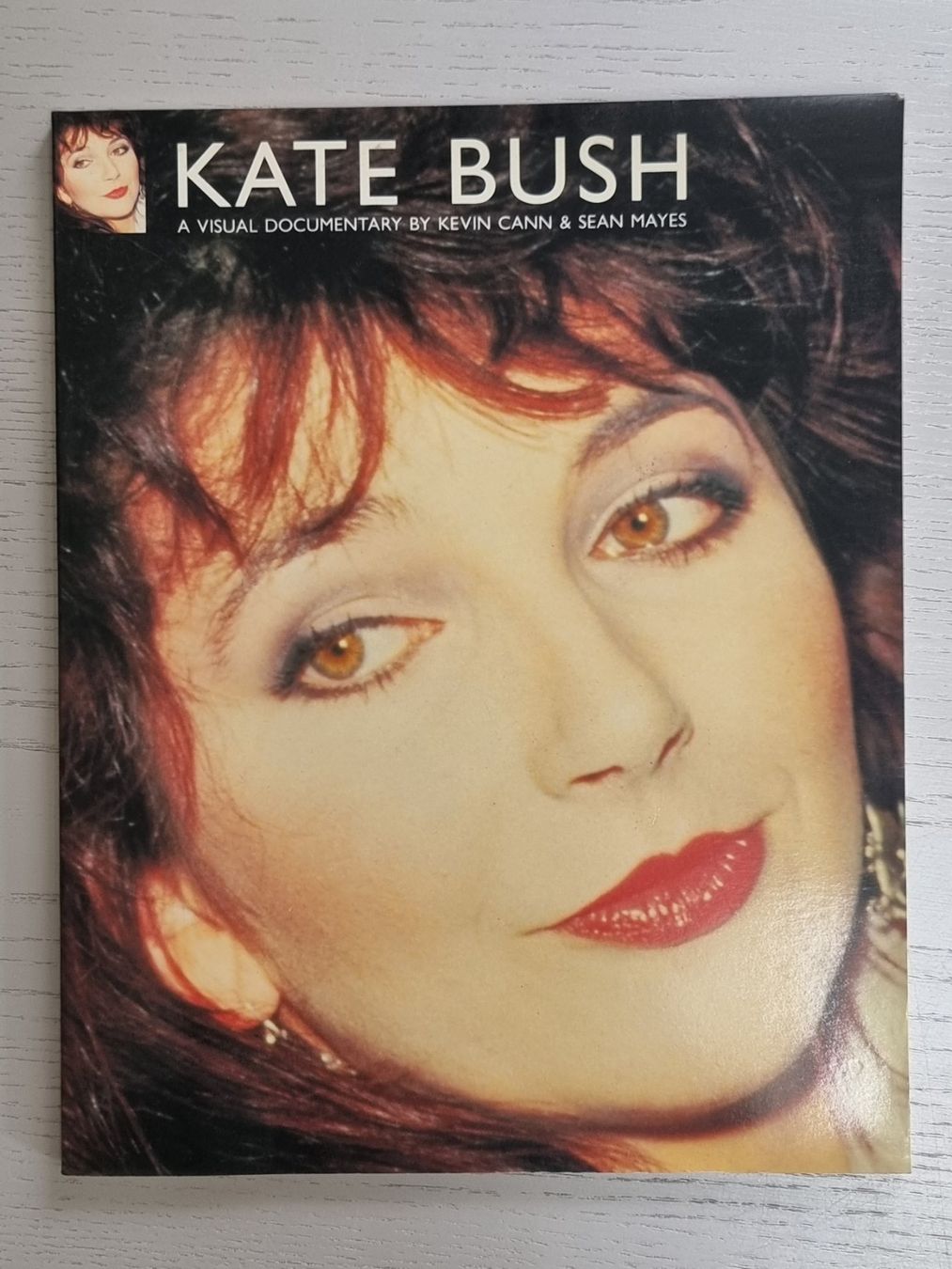 Libri: Kate Bush: A Visual Documentary - Rarität von 1988 – Usato da Villigen venduto da Tschachtlan
