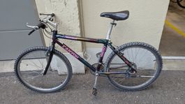 MTB Canyon S650 Rainbow