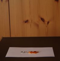 Schlüsselanhänger Echse orange