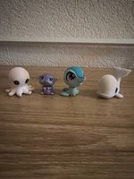 Lot petshop