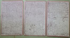 3 Stk. Türvorlege Fussmatte Eingangsteppich 80x50cm