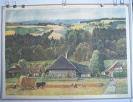 ⭐⭐ Schulwandbild – „Berner Bauernhof“ von Victor Surbek ⭐⭐
