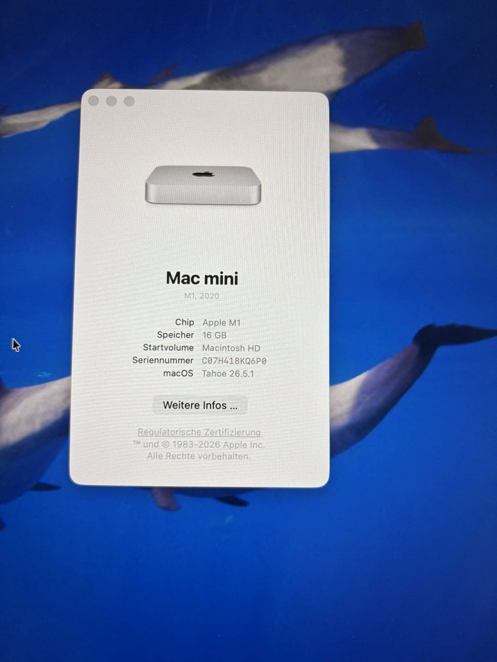 Apple PCs: Apple Mac Mini M1 – Gebraucht aus Oberuzwil von drs_zq8g 4