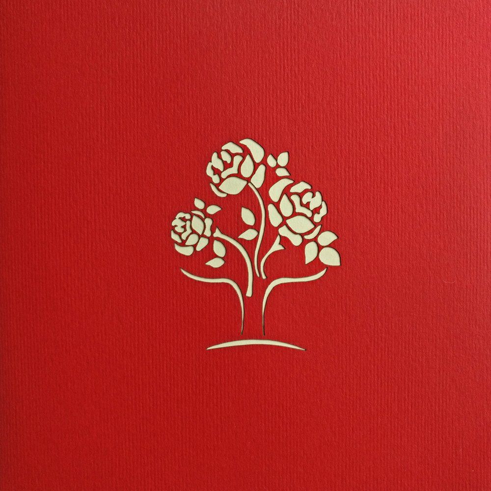 Cartoline: Blumen 3D Karte – Nuovo e nell'imballaggio originale da Dietikon venduto da Beni2025 1