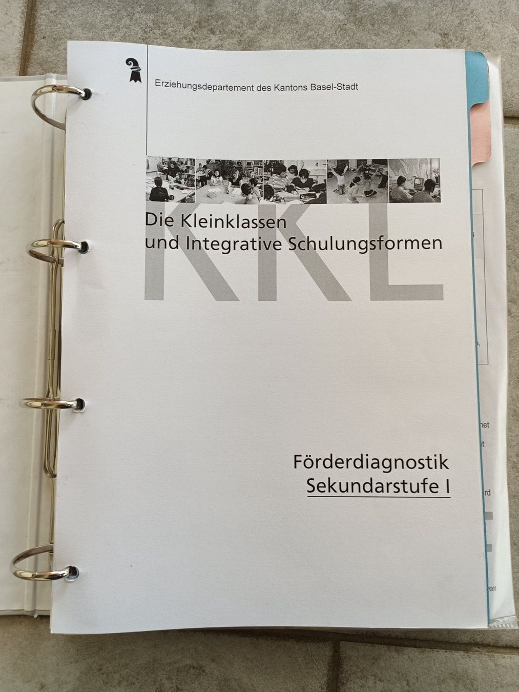 Raccoglitori: Ordner Förderdiagnostik Sekundarschule I – Usato da Aesch BL venduto da Rerosa43 1