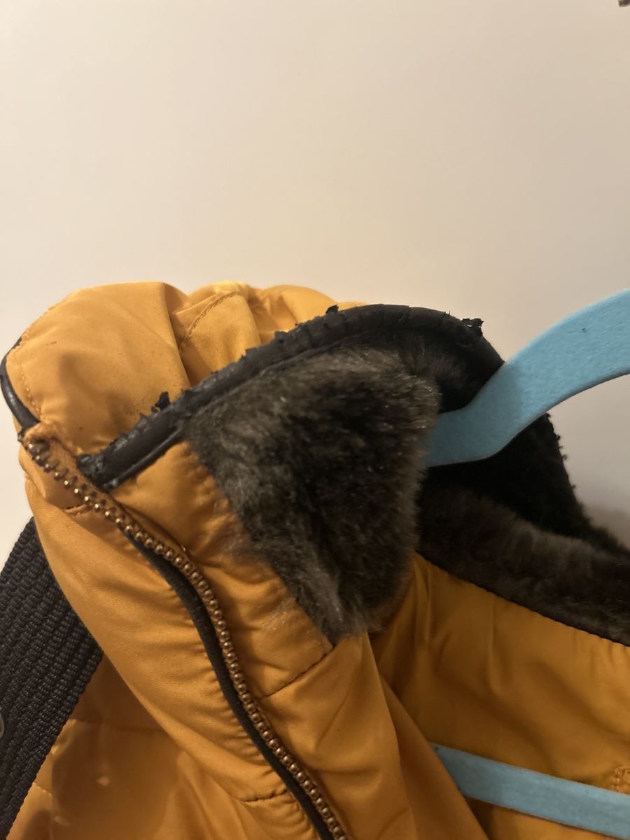 Zara Giacche: Zara Winter Jacke, Senffarben, Gr. M – Usato da Riehen venduto da S______ 4
