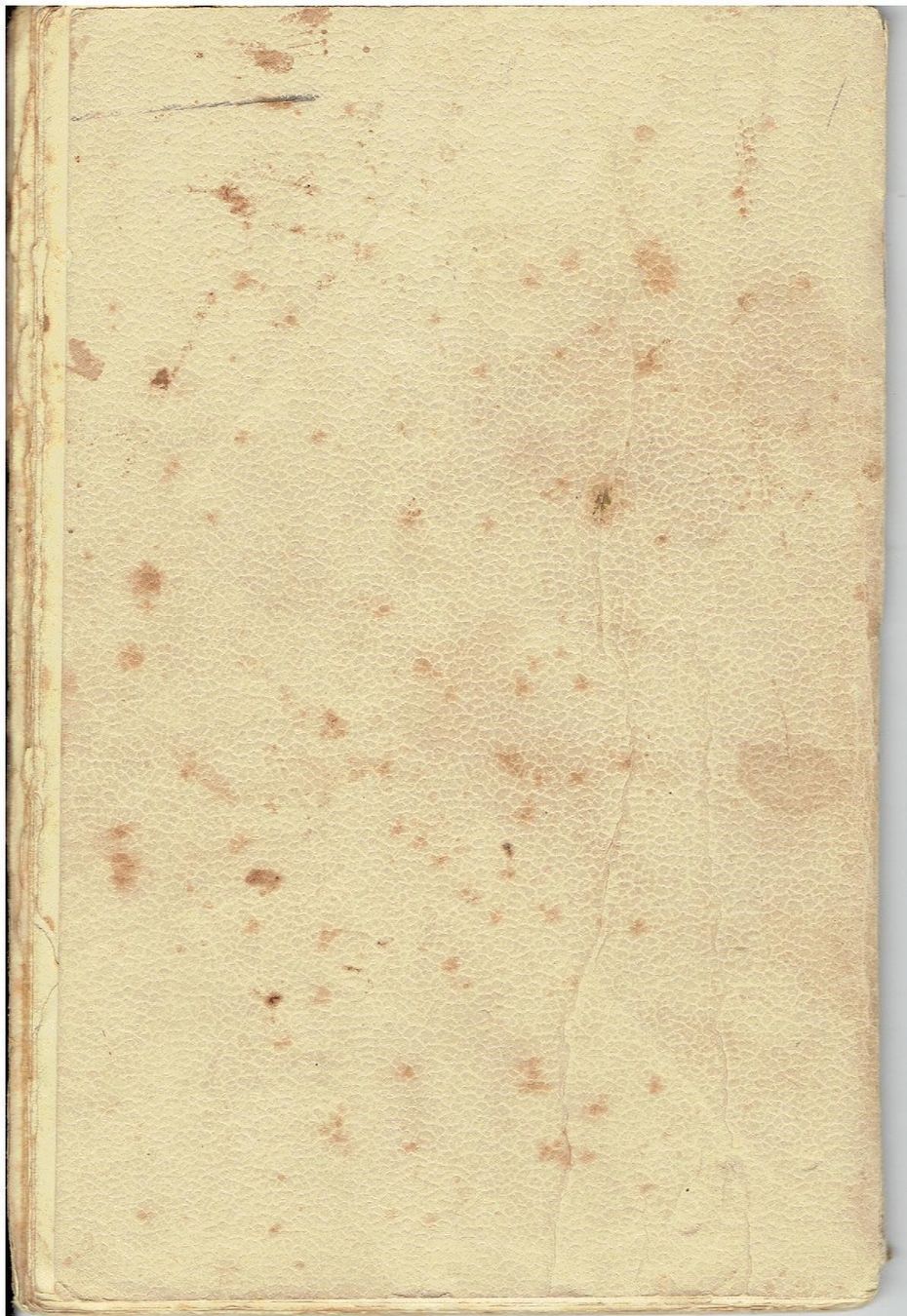 Libri: Calvenfeier 1899 – Usato da Flims - Dorf venduto da Stagediver 4