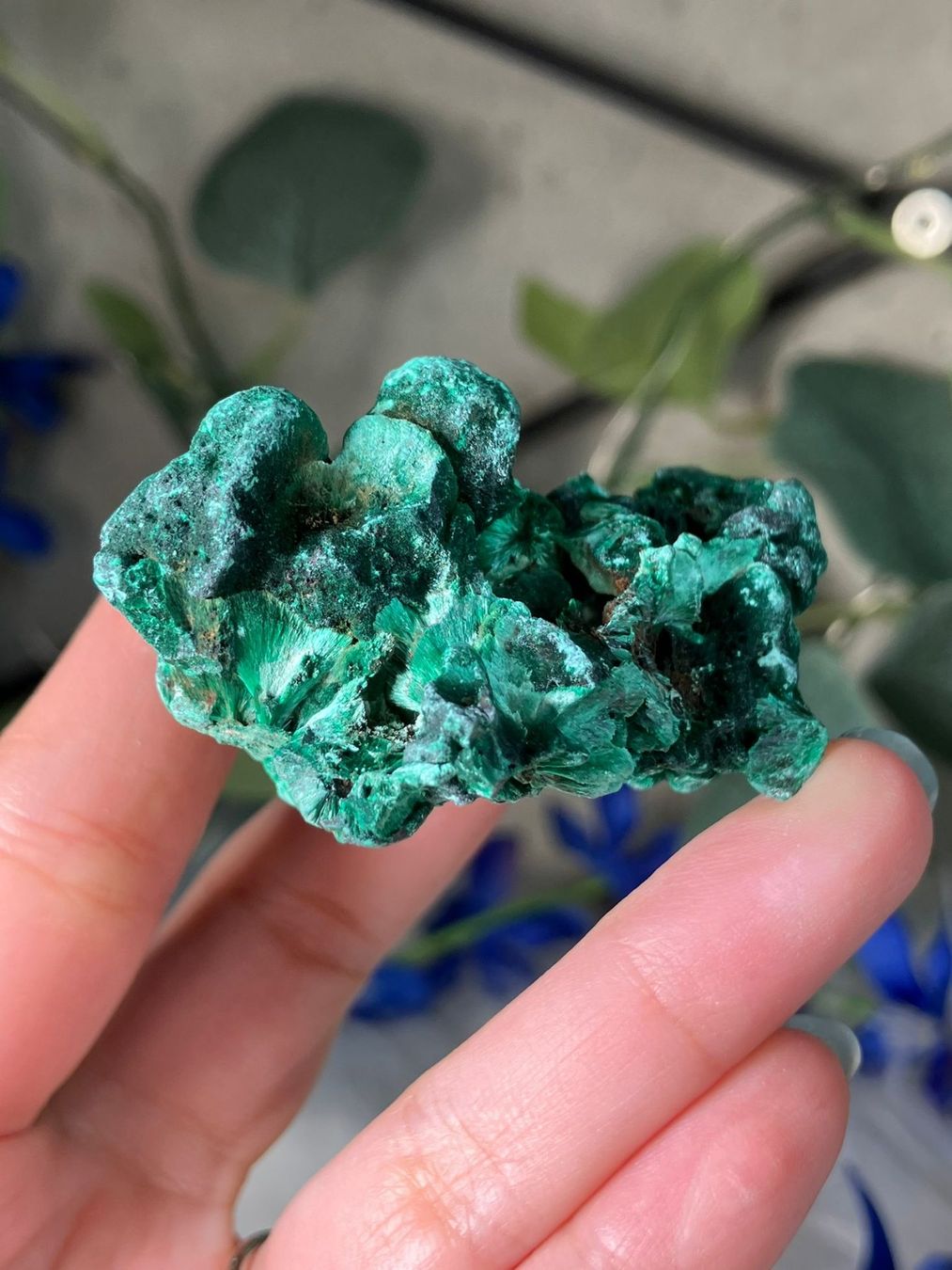 Minerali & Pietre curative: Malachit – Nuovo (secondo la descrizione) da Neuheim venduto da m.hald 2