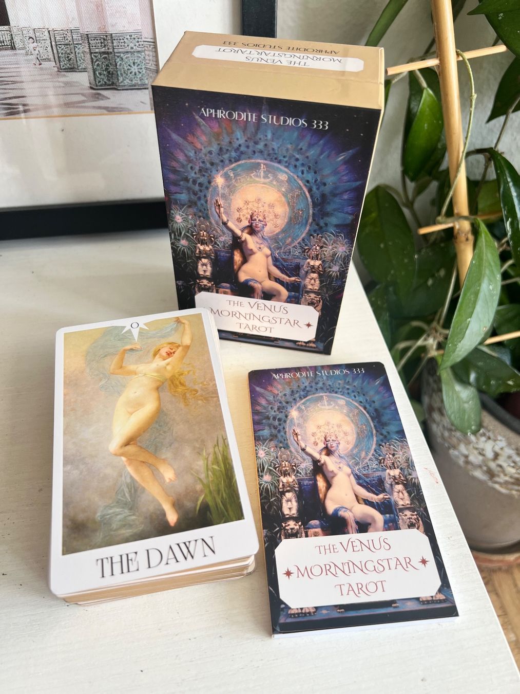 Giochi: Venus Morningstar Tarot Karten Deck – Nuovo (secondo la descrizione) da Effretikon venduto da YaMn 1