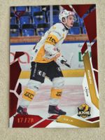 Sportzoo  base  red   Robin    250     17/20