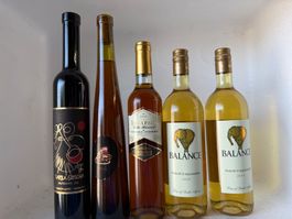 Wein Konvolut 5 Flaschen Barba Grisa Amigne Balance