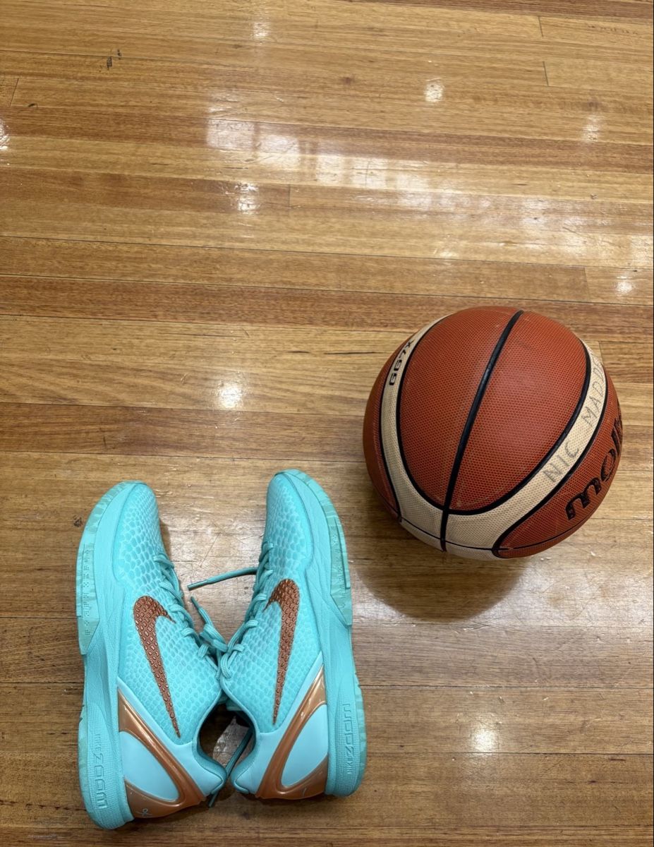 Nike Scarpe da uomo: nike kobe6 New York size 46 – Usato da Zürich venduto da zha_bs5p
