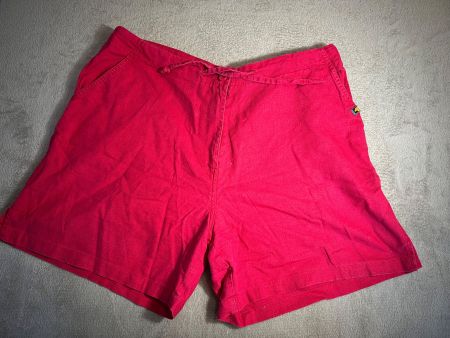 Alpha Adventure Shorts, Grösse 42, Sommer-Look, Top!