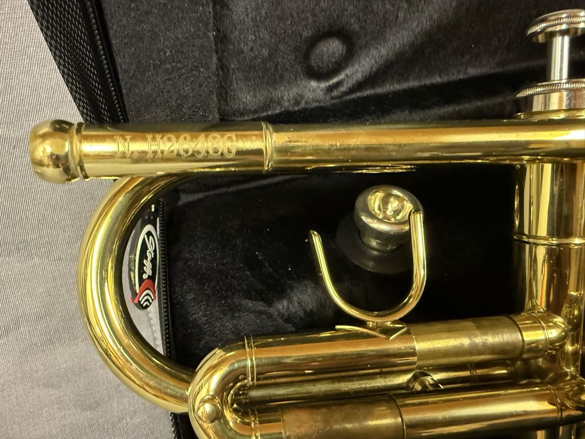 Musikinstrumente: Trompete Stagg 77-T Bb – Neu (gemäss Beschreibung) aus Zürich von ZurichVibe 1
