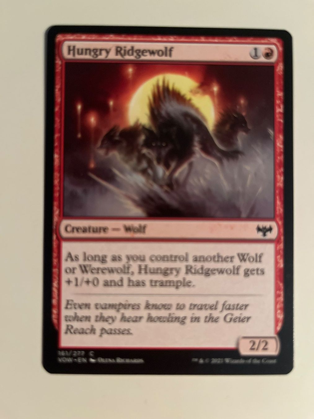 Magic The Gathering Carte collezionabili: 1 x Hungry Ridgewolf - Magic: The Gathering - MtG – Usato da Kriens venduto da Shadi1980