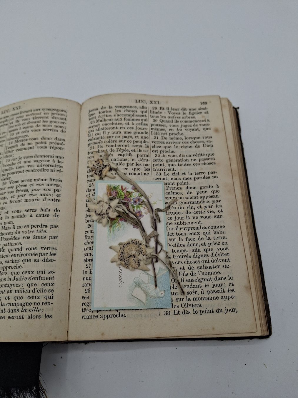 Libri: ancienne bible – Usato da Le Lignon venduto da vanessatrolliet 6