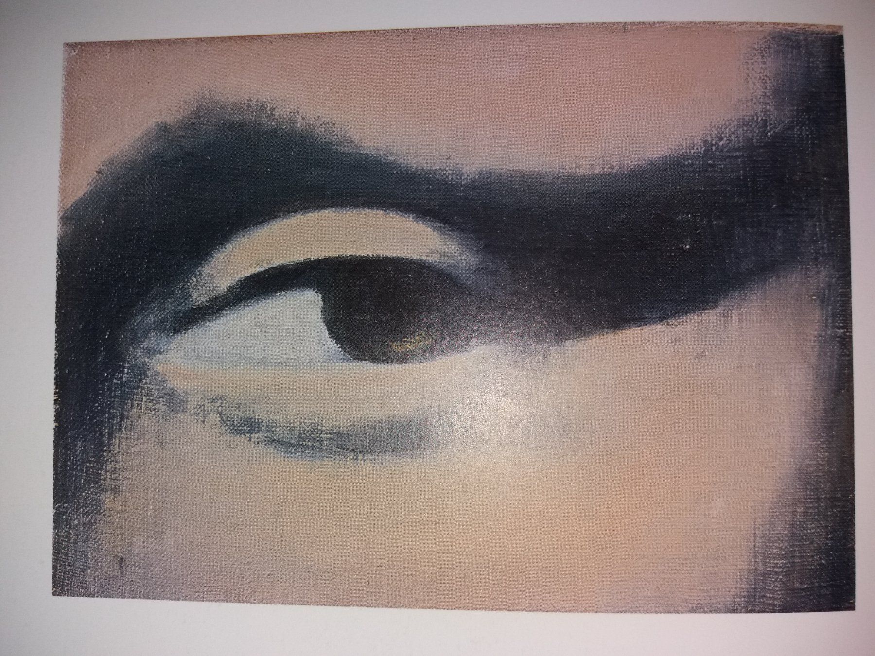 Bücher: KUNSTKLASSIKER Meret Oppenheim – Gebraucht aus Welschenrohr von Regool