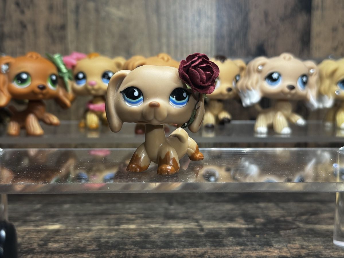 Hasbro Jouets: Littlest pet shop Dachshund – D'occasion à Luzern par Maja.C