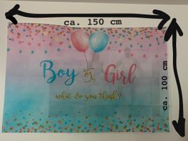 Gender Reveal Banner und Deko