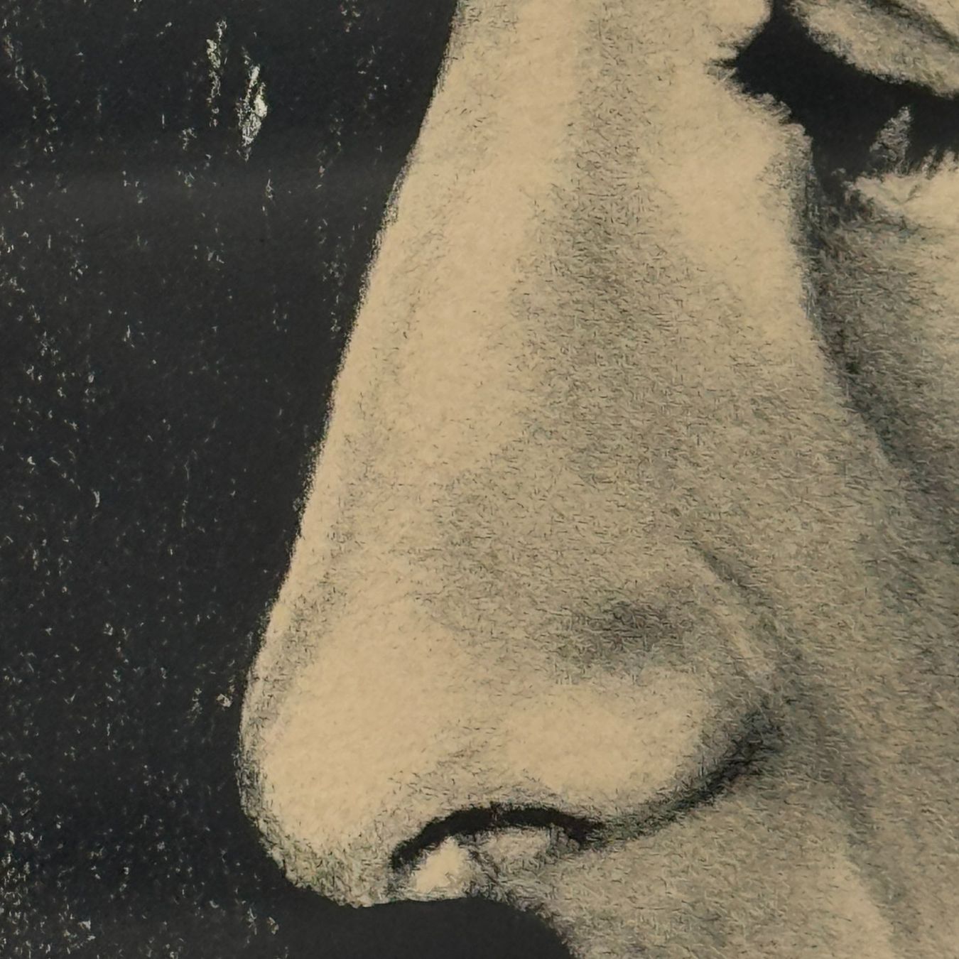 Grafica & Litografie: Franz Gertsch - Levrini Gallery – Usato da Gockhausen venduto da LevriniGallery 3