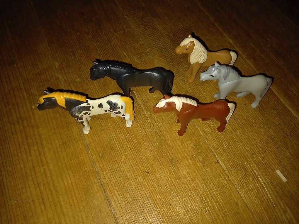Giocattoli: Playmobil Wildponyherde – Usato da Alchenstorf venduto da jae_8glt 1