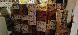50 Bananenkisten Bananenschachteln Umzugskisten