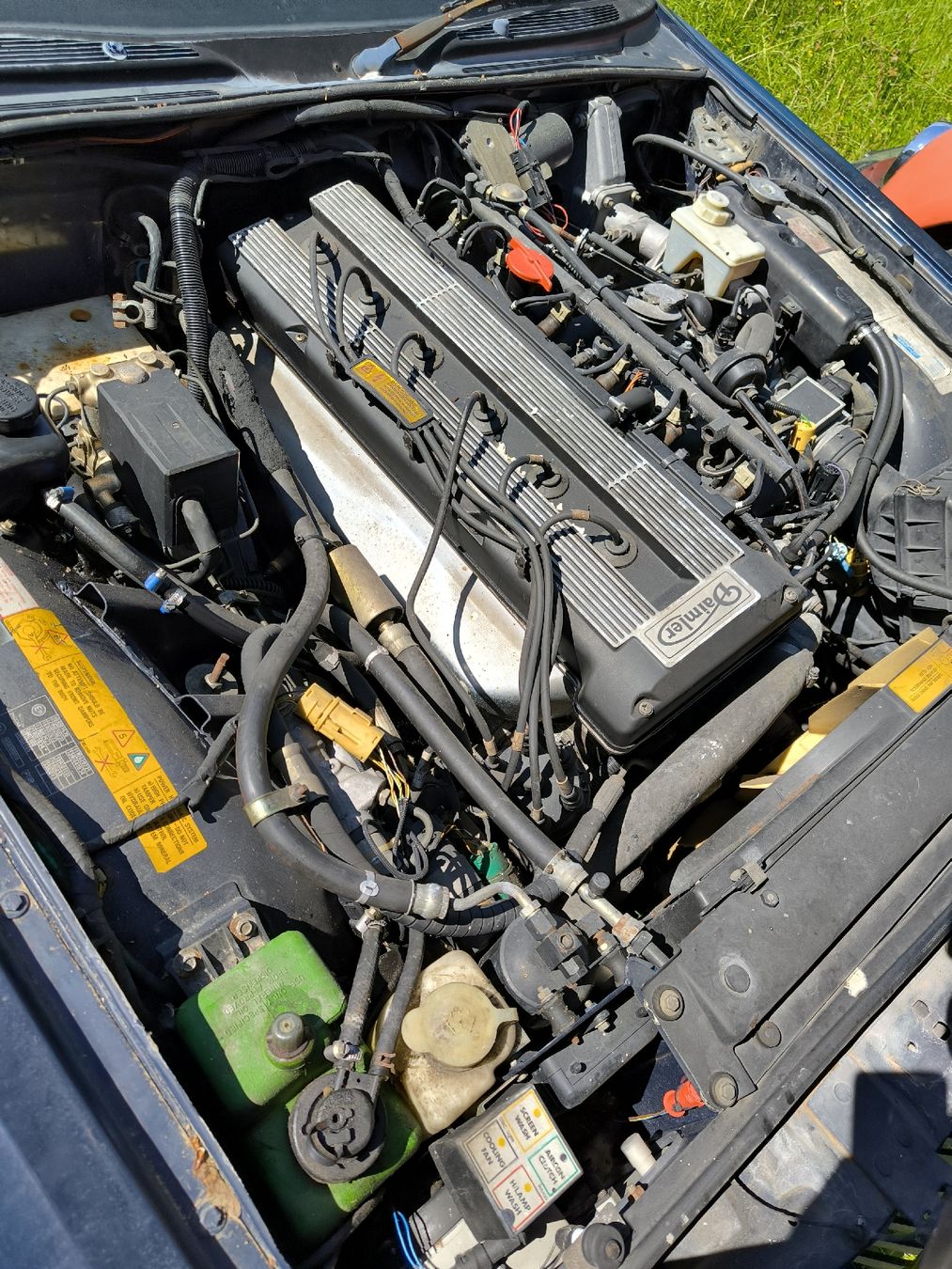 Jaguar Automobili: Jaguar Daimler XJ40 – Difettoso da Bütschwil venduto da chromenbueb 7