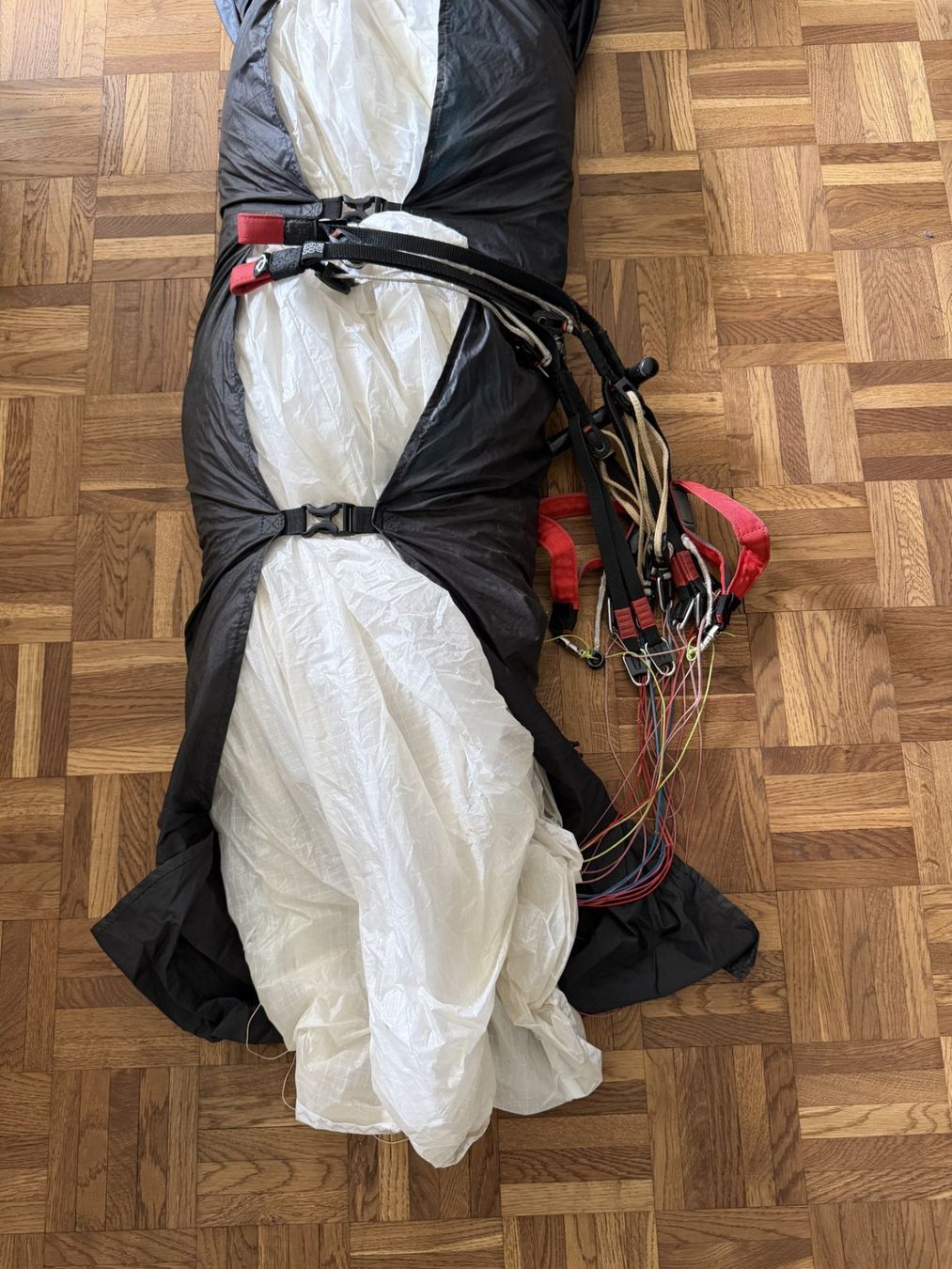 Phi Flug- & Drachensport: PHI Maestro 2 Light 21 (75-95kg) – Gebraucht aus Bern von seventeen57 2