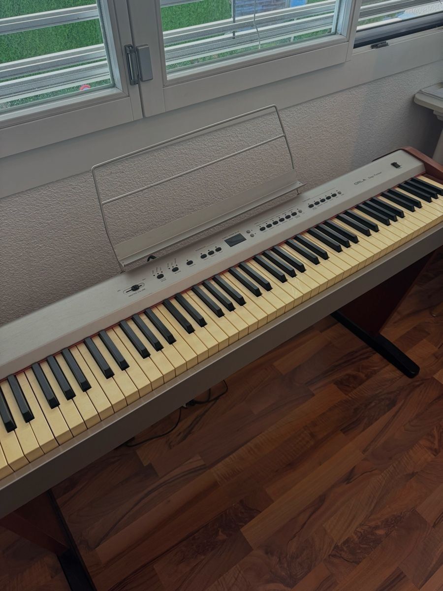 Strumenti musicali: Orla Stage Partner Digital Piano – Usato da Bern venduto da Schneebrowsky 9