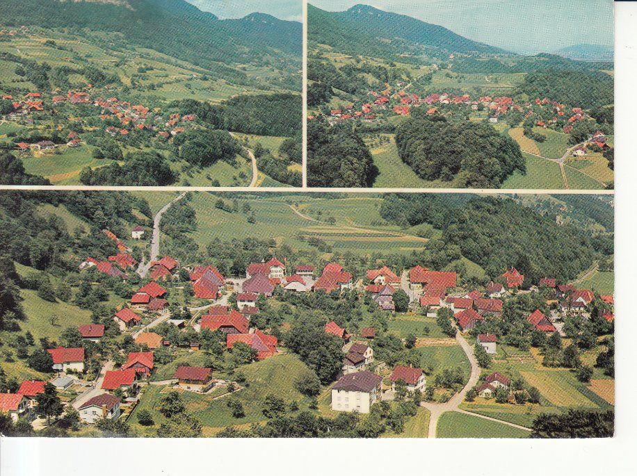 Cartoline postali: Rumisberg Flugaufnahme 1981 – Usato da Bürglen TG venduto da StampGraf