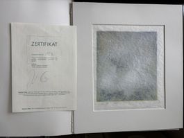 Antoine Oser handkolorierte signierte Serigraphie Diaphanie