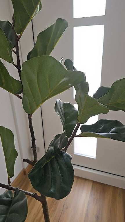 Pflanzen & Samen: Kunstpflanze Feigenbaum – Gebraucht aus Bazenheid von Exo_Tic