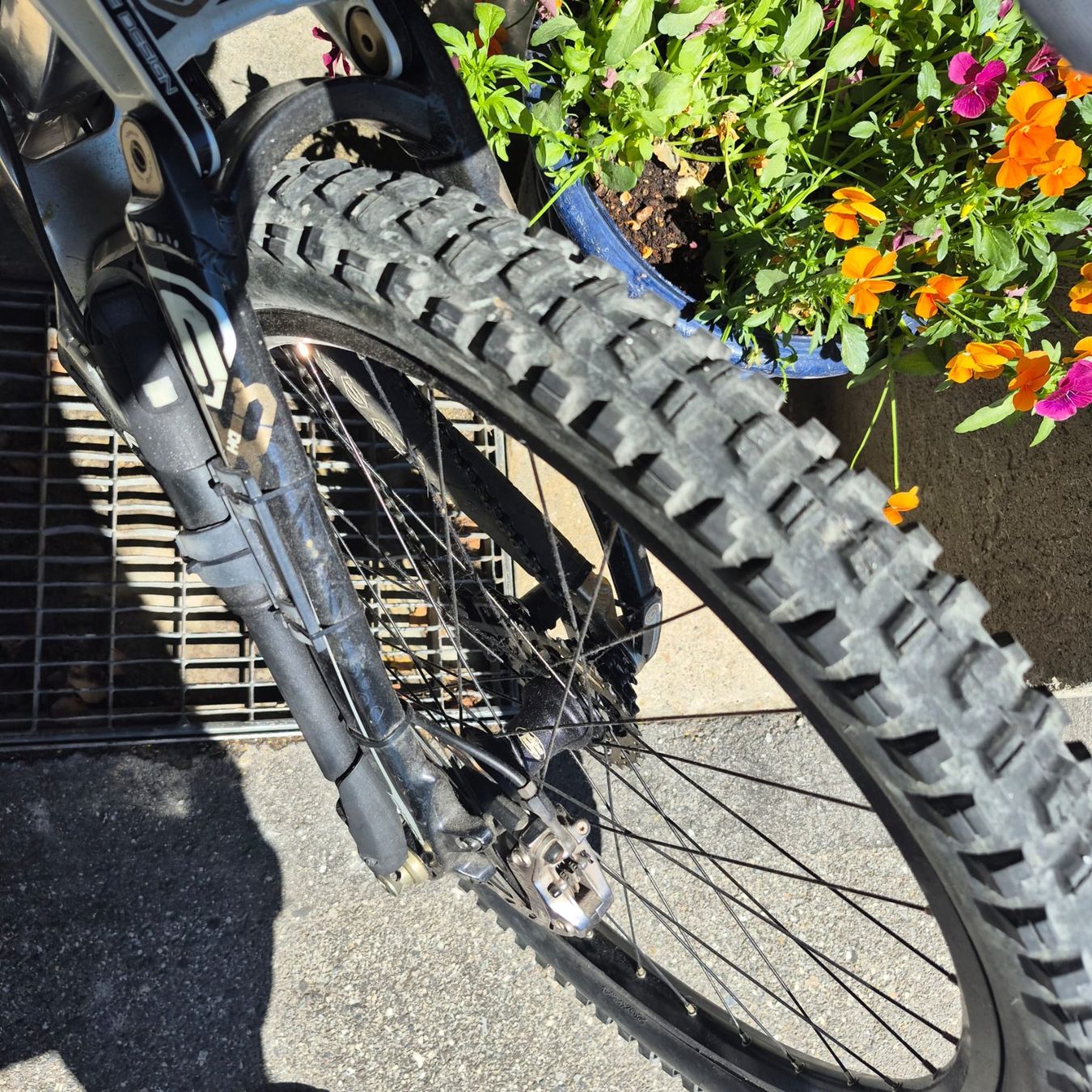 Biciclette: 26 Zoll Velo Trek – Usato da Falera venduto da bru_lrz6 3