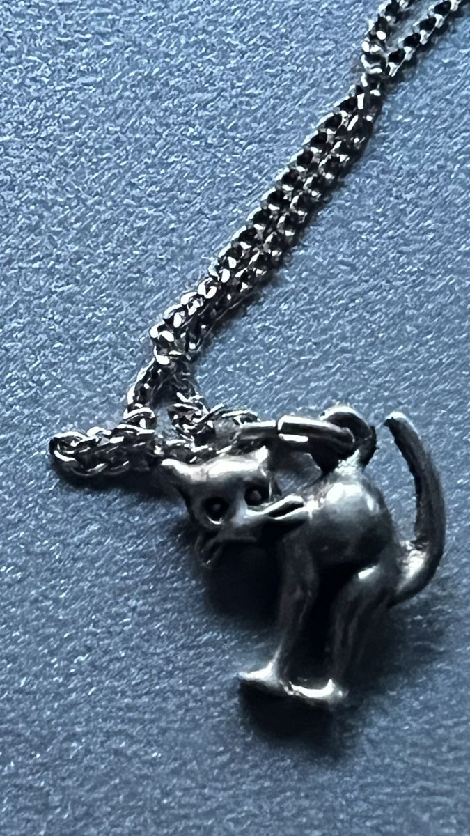 Ciondoli: Wunderschönes Silber  Kätzchen mit Kette  – Usato da Laufen venduto da Futuremarket 2