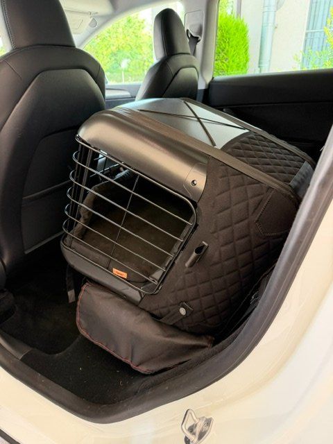 4pets Gabbie, trasporto & Sicurezza: 4pets Caree Transportbox – Usato da Ettingen venduto da swisstopdeal 1