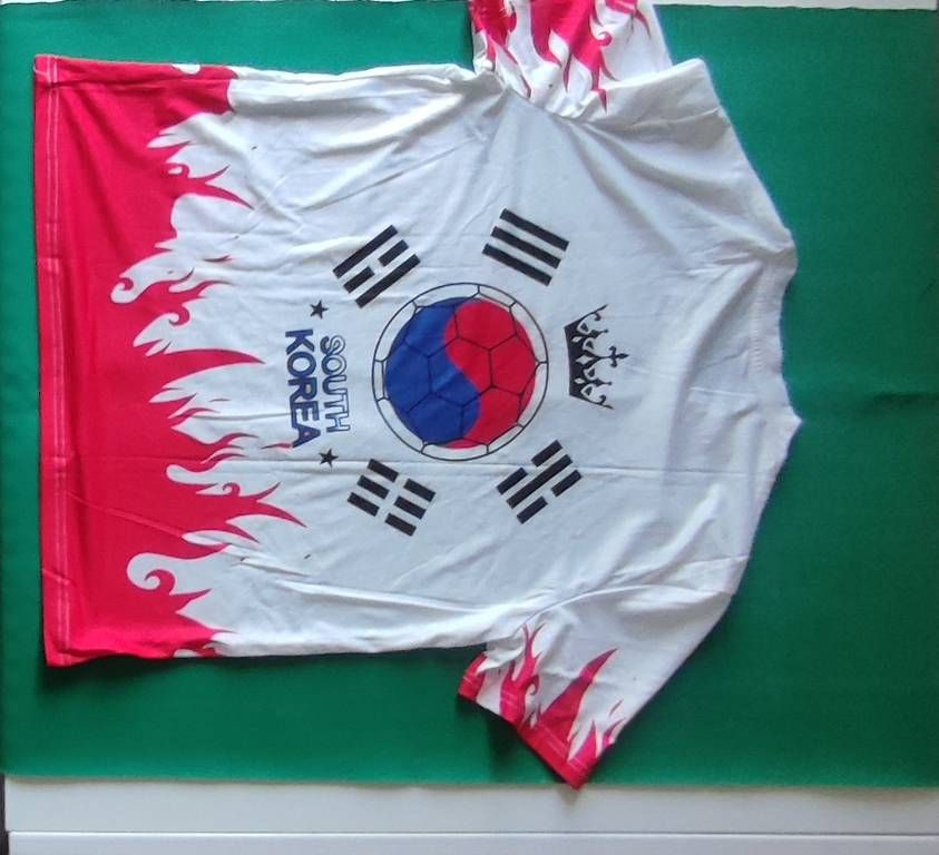 Canottiere & Pantaloni: Maglia da calcio Nazionale Sud Corea – Usato da Coldrerio venduto da diveklo 1
