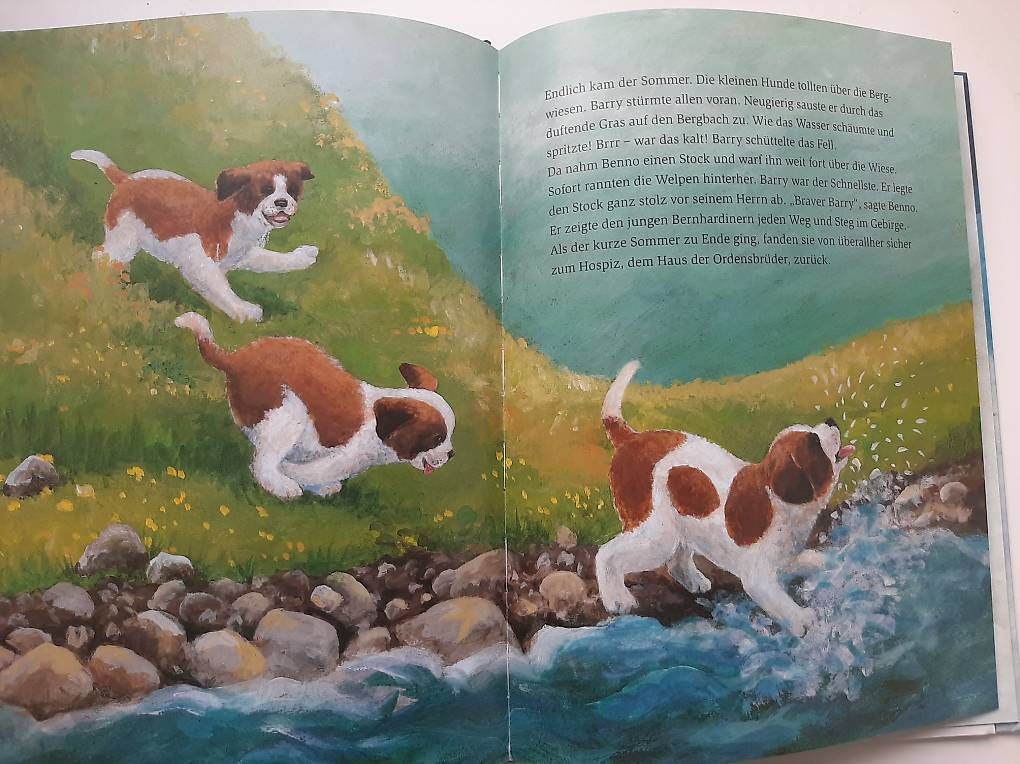 Libri: Kinderbuch "BARRY - Retter auf vier Pfoten" – Usato da Basel venduto da Renato_hirzi 1
