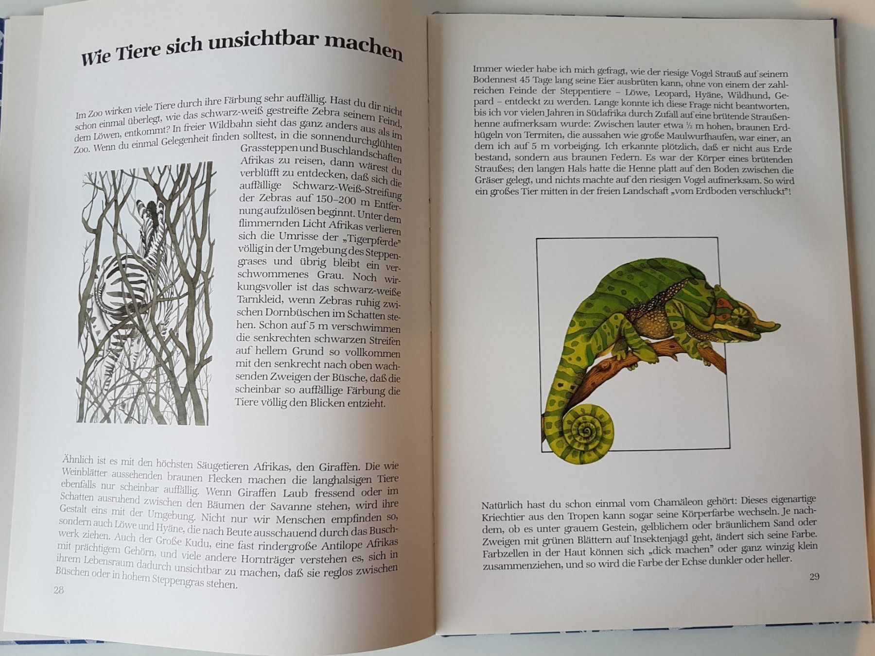 Libri: Das grosse Buch vom Zoo – Usato da Herrliberg venduto da Jummi 4