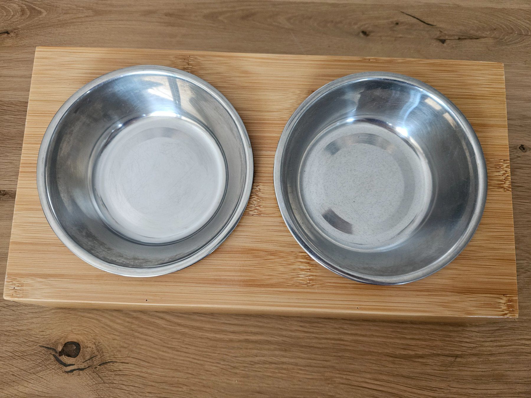 Ciotole: Futternapf für Katzen – Nuovo (secondo la descrizione) da Rothrist venduto da chbluemli 1