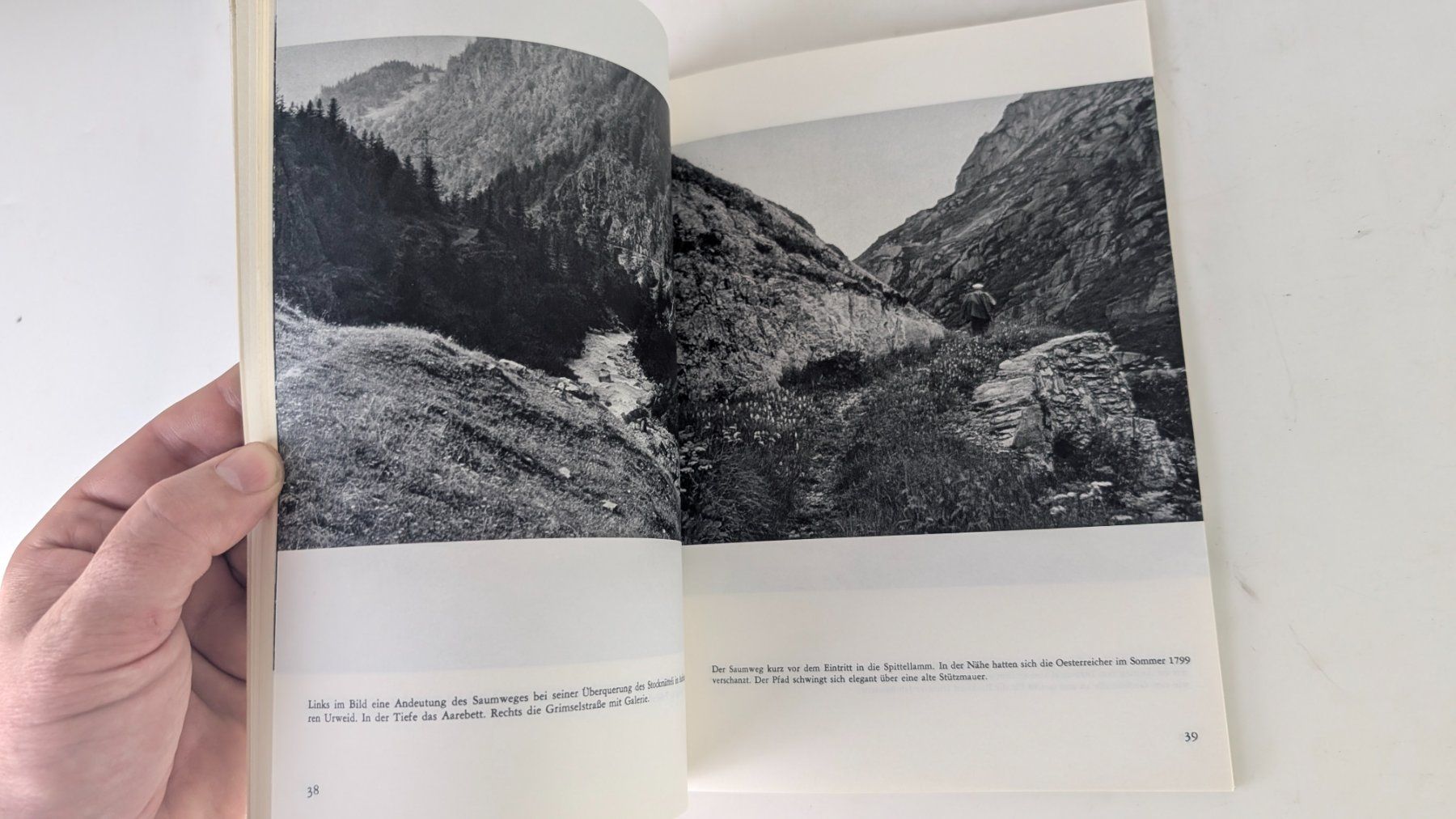 Libri: Berner Heimatbücher: Die Grimsel – Usato da Zürich venduto da axolottchen 5