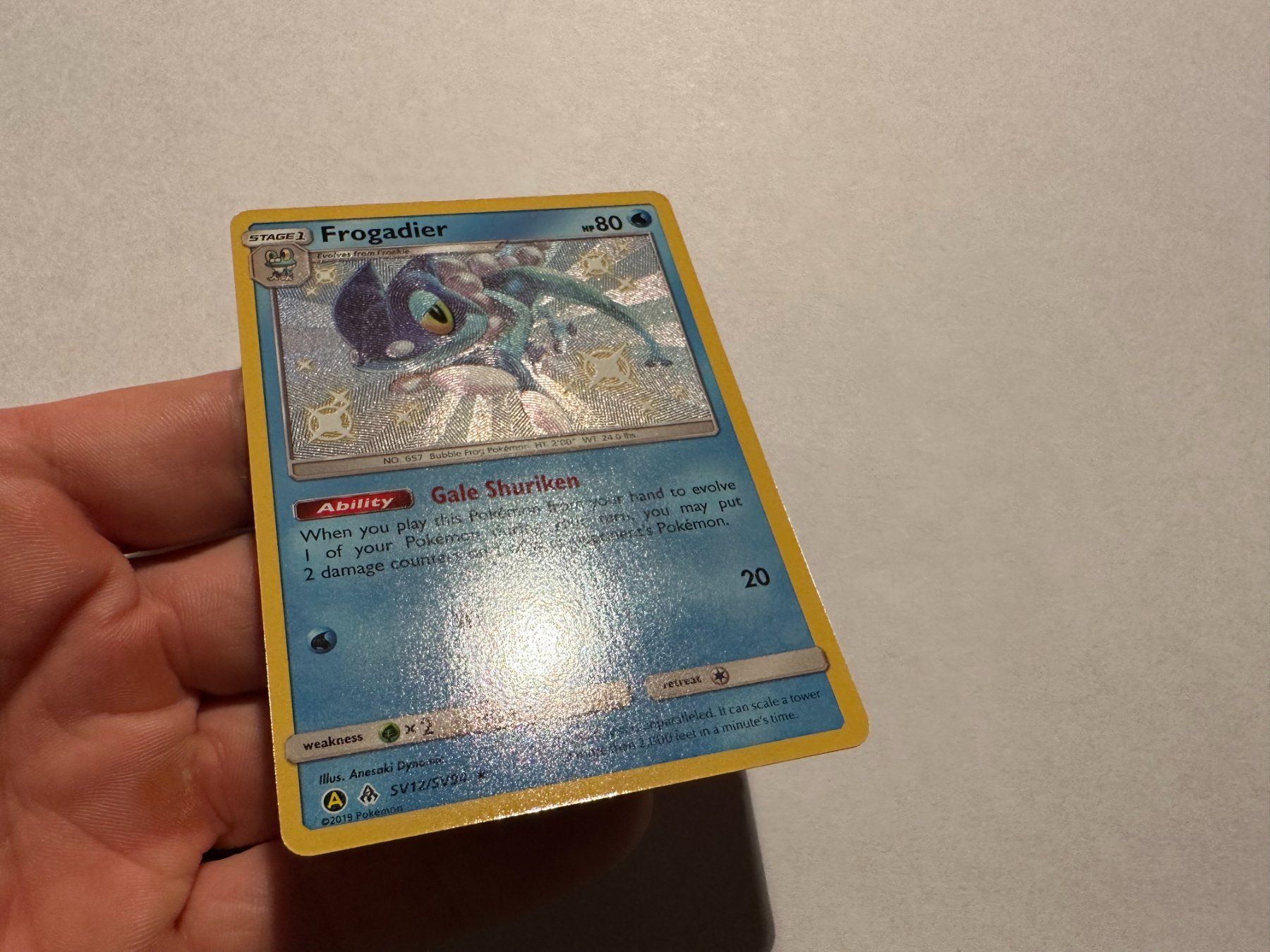 Pokémon Carte collezionabili: Frogadier Shiny Hidden Fates EN – Usato da Hagendorn venduto da Pokecollectorch 3