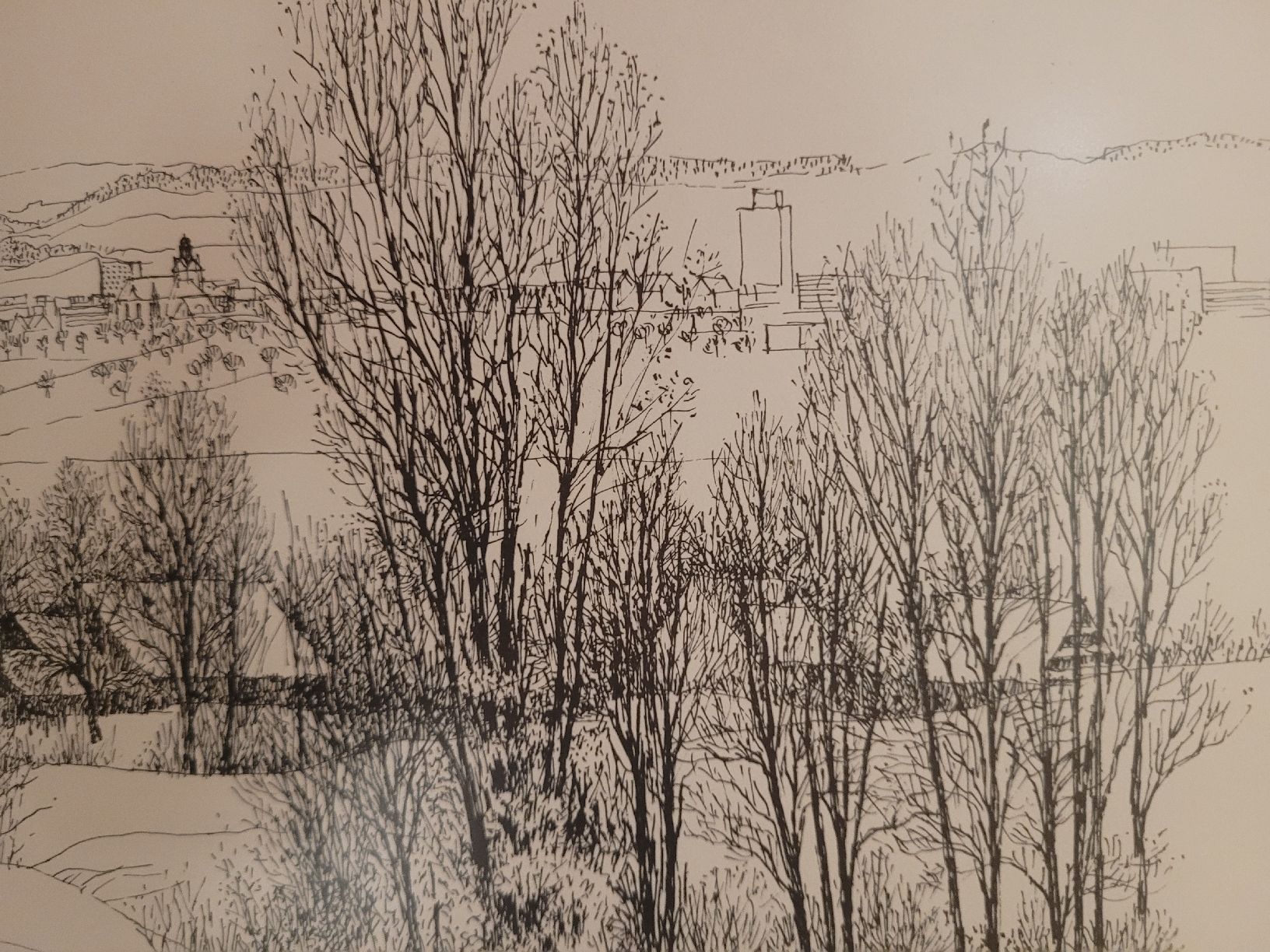 Grafica & Litografie: Godi Leiser Baar Inwil 1978 – Usato da Baar venduto da Nira60 3