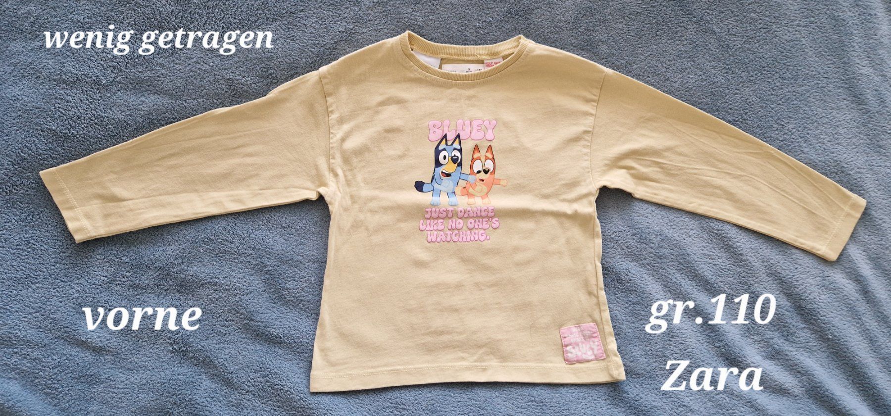 Zara Pullover & Sweatshirts: Langarmshirt Grösse 110 Bluey – Gebraucht aus Heimberg von Eleanor20