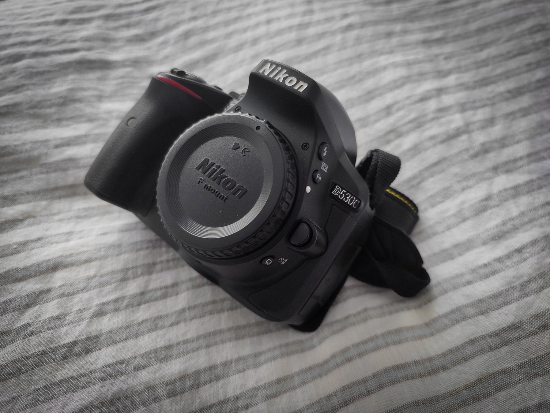 Nikon Kamera: Nikon D5300 mit Rode Mikrofon und Filter – Gebraucht aus Grenchen von Radav 1