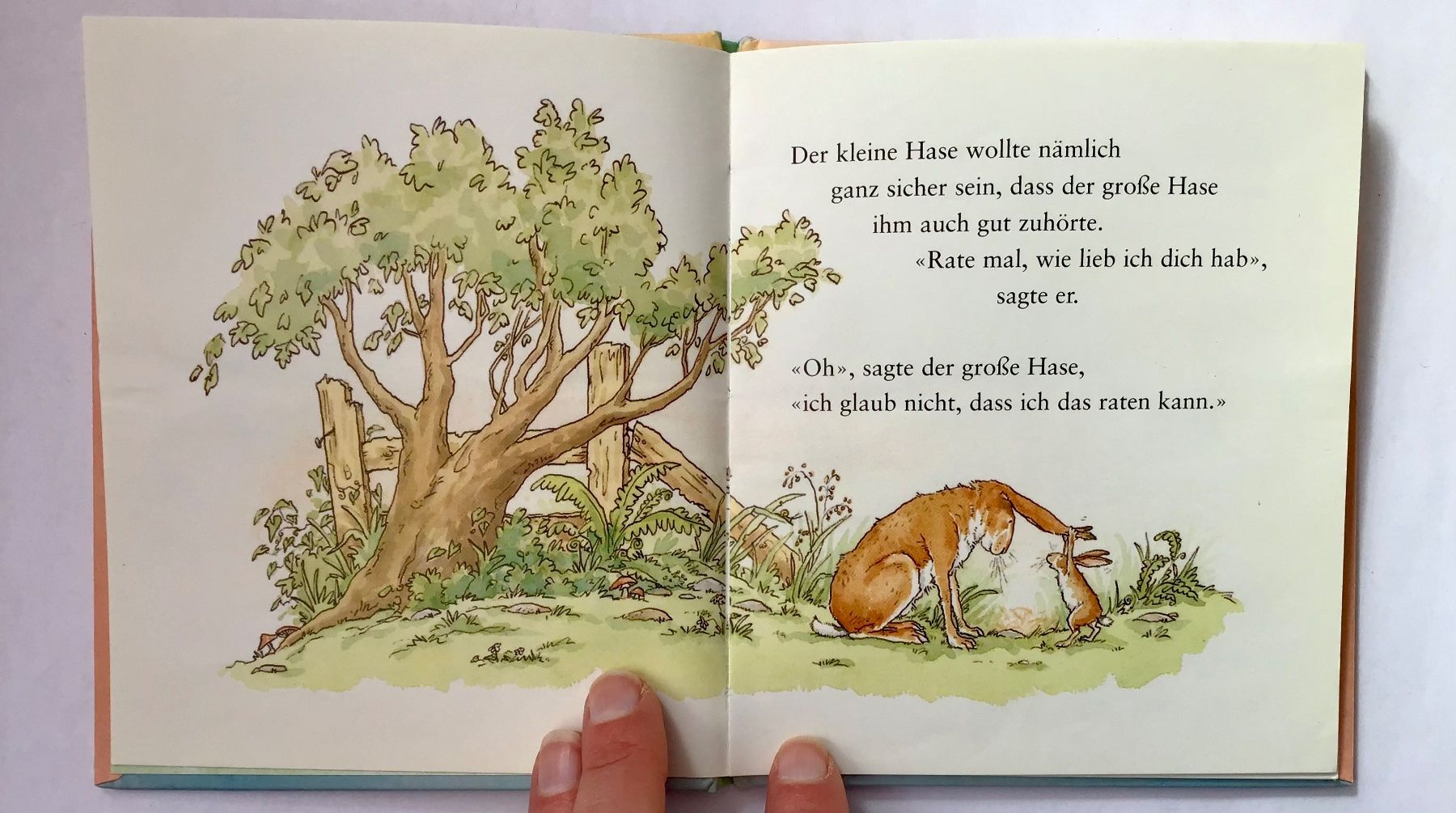 Libri: Weisst du eigentlich, wie lieb ich dich hab? – Usato da Bubendorf venduto da Alpenheidi 5