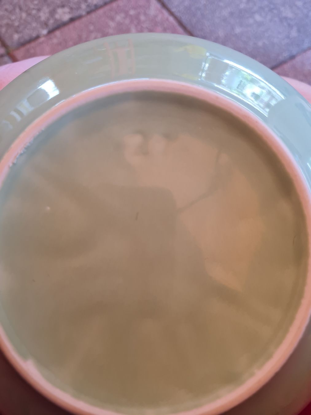 Rössler Ciotole: Rössler Schüssel grün Ø 22cm – Nuovo (secondo la descrizione) da Münsingen venduto da Cuci31 4